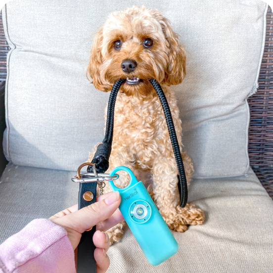 HerStroll Product Review