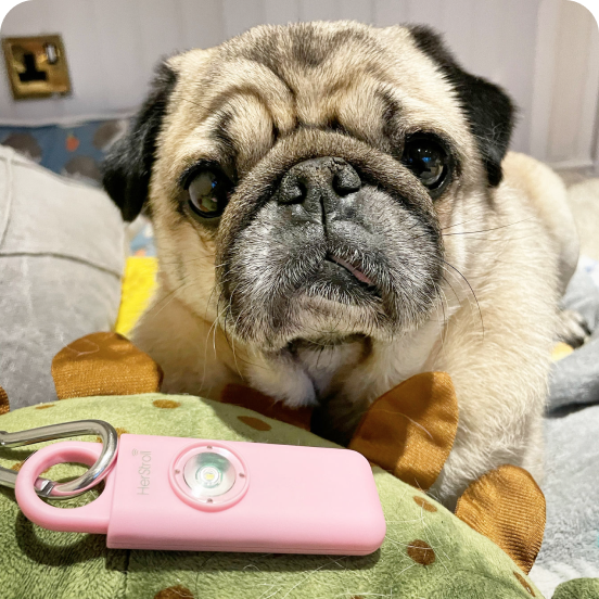 HerStroll Product Review